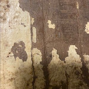 Meet your Posher, Dani